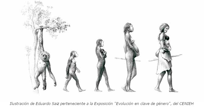 lustración de Eduardo Saiz perteneciente a la Exposición "Evolución en clave de género", del CENIEH