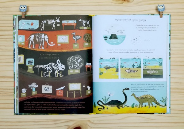 Páginas interiores 6 del libro informativo "El origen de las especies", de Sabina Radeva, editado por Harperkids y Patio