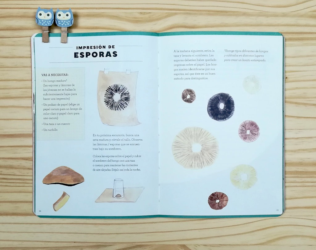 Cuaderno-de-aventuras-actividades con setas y hongos. Editado por Errata Naturae